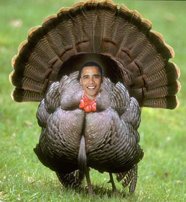 obamaturkey2011