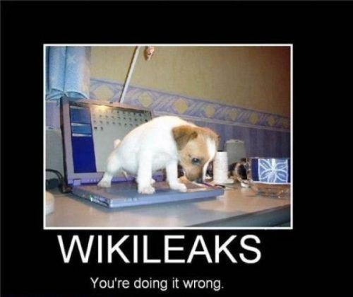wikileakswrong