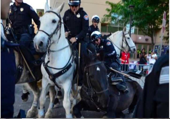 Anti-Trump protestors attack police and their horses (Twitter)